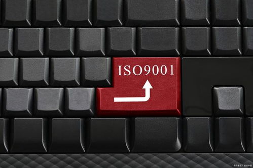 為何這些企業(yè)無需進行ISO 9001認證？